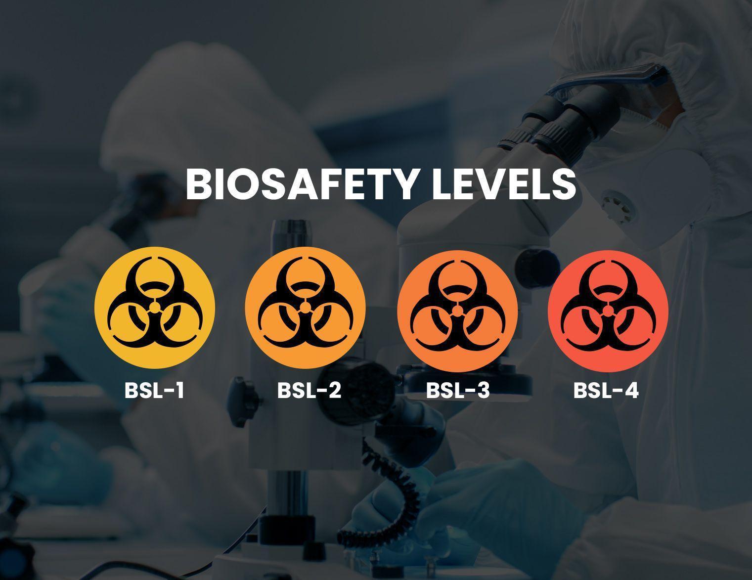 Biological safety levels (BSLs) and how they differ - ACH Engineering